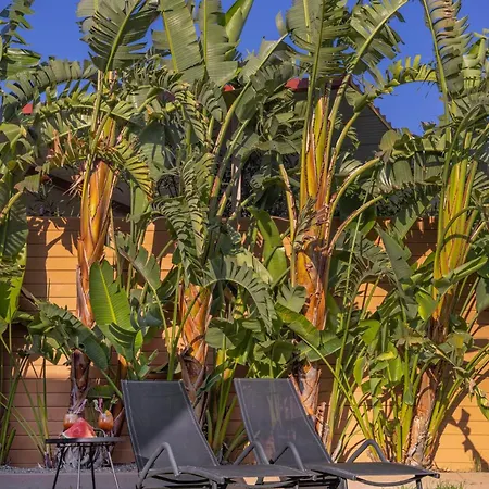 Gaia Blue * コリンビア