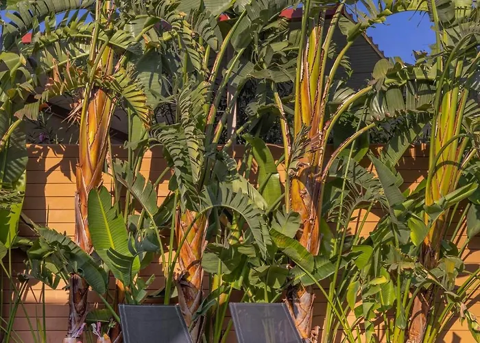 Gaia Blue * コリンビア